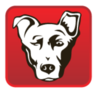 Alpha Media Logo